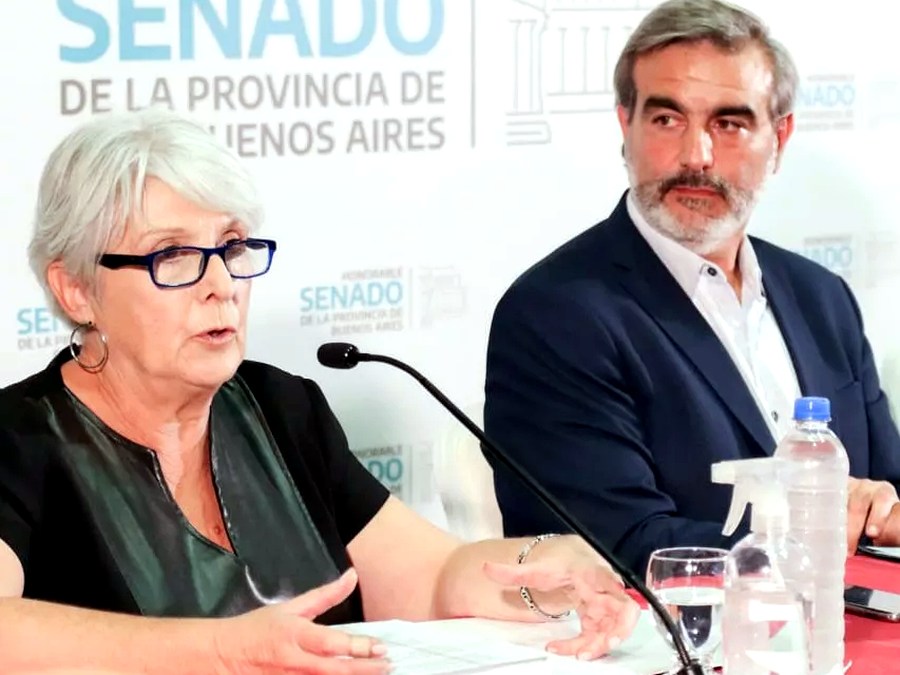 Adriana Irene Malek, presidenta de la Unión de Consumidores de Argentina, durante una exposición